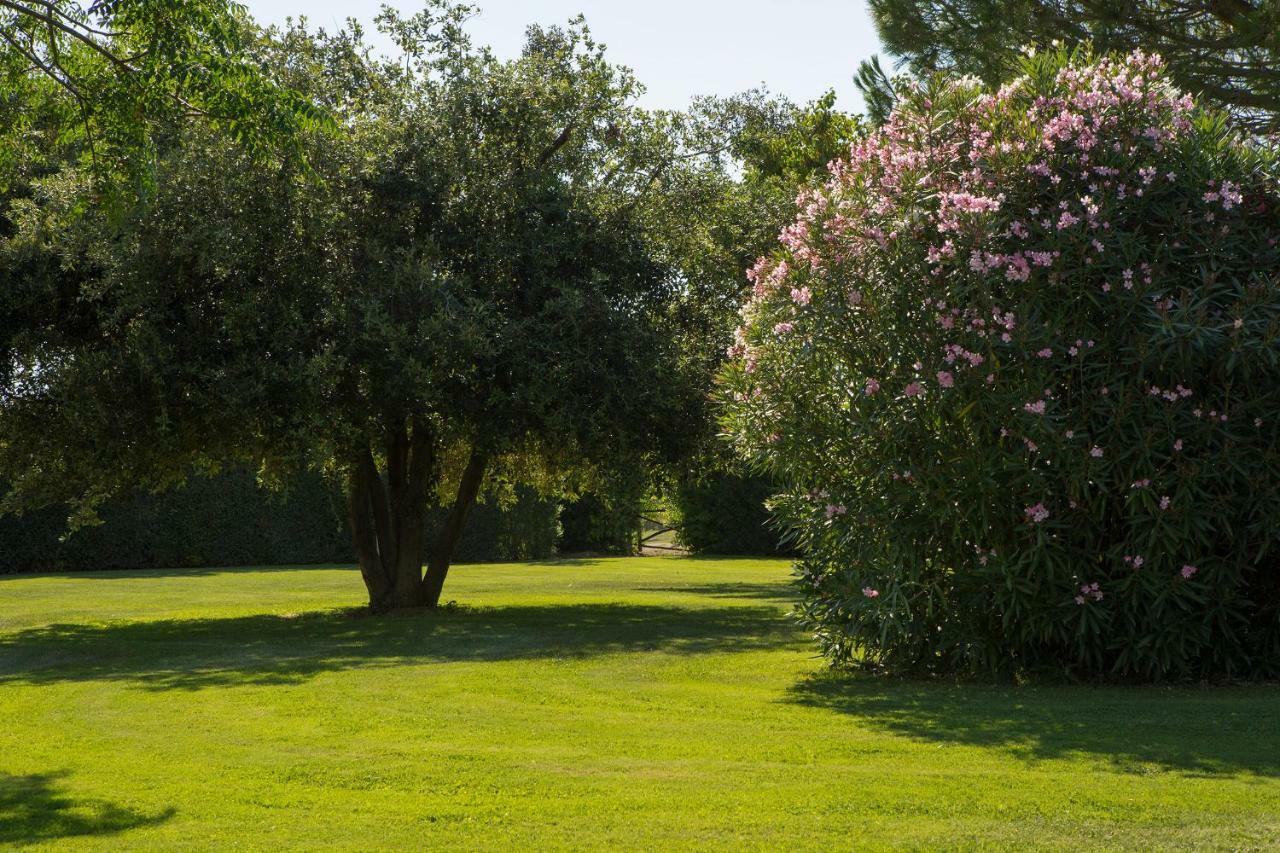 Villa Aia Vecchia Бибона Екстериор снимка
